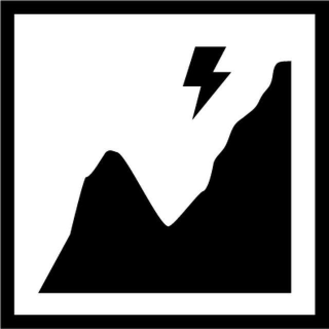 Ebike Icon